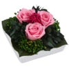 Dehner Keramik-Schale Mit Longlife-Rose Zina, Ca. B9,5/H6 Cm -Elho Aussenbereich Geschaft 6380927 WE FS 003 LLSchaleZinaROSA