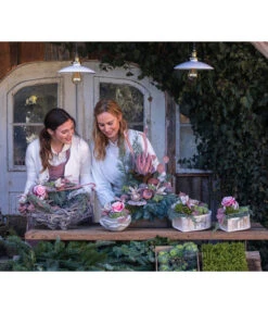 Elho Aussenbereich Geschaft -Elho Aussenbereich Geschaft 6462816 6462808 WE MO 001 SerieImHimmel Allerheiligen2023 1