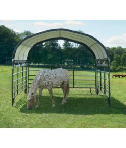 Shelter Logic Pferdestallüberdachung, Ca. B370/H160/T370 Cm -Elho Aussenbereich Geschaft 6610422 WE MO 003 50NorthWeidezelt done