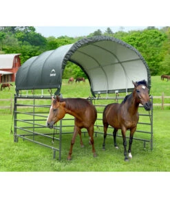 Shelter Logic Pferdestallüberdachung, Ca. B370/H160/T370 Cm -Elho Aussenbereich Geschaft 6610422 WE MO 005 50NorthWeidezelt done