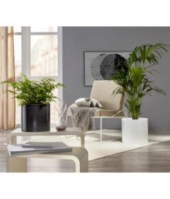 Scheurich Keramik-Übertopf, Rund, Ca. Ø33 Cm 9 Scheurich Keramik-Übertopf, Rund, Ca. Ø33 Cm -Elho Aussenbereich Geschaft 6642151 PR MO 001 TopfPanna