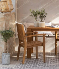 Olive, Busch, In Keramik, Ca. Ø16/H40 Cm -Elho Aussenbereich Geschaft 6657415 WE MO 002 GruppeHavanna