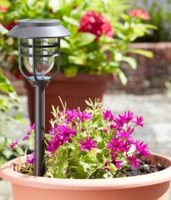 Smart Garden Solar-Pfahlleuchte Avant 5er-Set, Ca. B13,2/H43/T13,2 Cm 8 Smart Garden Solar-Pfahlleuchte Avant 5er-Set, Ca. B13,2/H43/T13,2 Cm -Elho Aussenbereich Geschaft 6691901 WE MO 001 DehnerSolarPfahlleuchteAvant