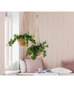 Dehner Seegras-Ampel Igmar 12 Dehner Seegras-Ampel Igmar -Elho Aussenbereich Geschaft 6759393 WE MO 005 AmpelIgmarBraun