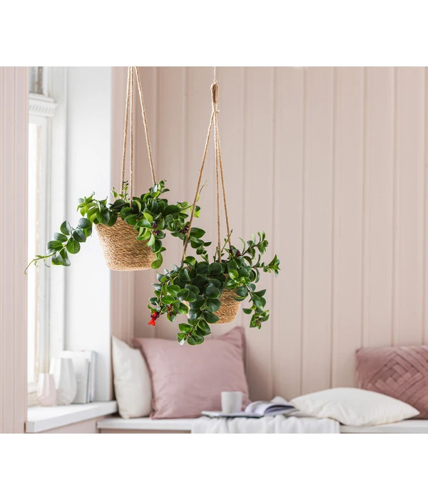 Dehner Seegras-Ampel Igmar 7 Dehner Seegras-Ampel Igmar – Bild 5