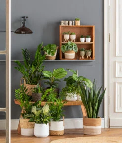 Dehner Seegras-Korb Ida, Rund 7 Dehner Seegras-Korb Ida, Rund -Elho Aussenbereich Geschaft 6904882 6904304 4439212 WE MO 001 KorbHarmonyIdaPhil