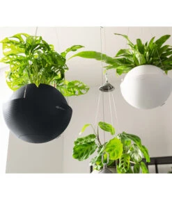 LECHUZA® BOLA Color, All-in-One Set 15 LECHUZA® BOLA Color, All-in-One Set -Elho Aussenbereich Geschaft 6938708 6938724 6938807 6938815 WE MO 002 BOlaColorWeissSchiefergrau