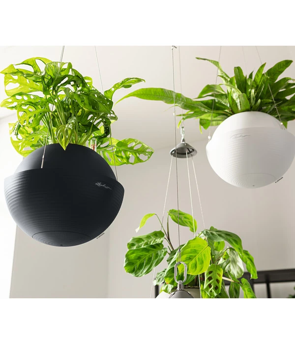 LECHUZA® BOLA Color, All-in-One Set 7 LECHUZA® BOLA Color, All-in-One Set – Bild 5