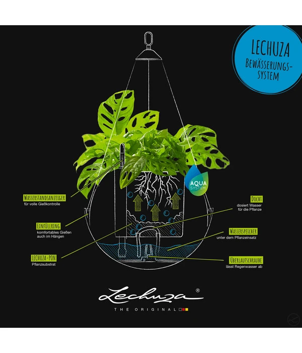 LECHUZA® BOLA Color, All-in-One Set 11 LECHUZA® BOLA Color, All-in-One Set – Bild 9