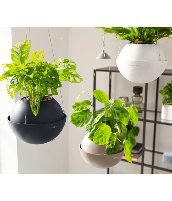 LECHUZA® BOLA Color, All-in-One Set 9 LECHUZA® BOLA Color, All-in-One Set – Bild 7