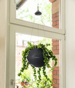 LECHUZA® BOLA Color, All-in-One Set 13 LECHUZA® BOLA Color, All-in-One Set -Elho Aussenbereich Geschaft 6938724 6938815 WE MO 001 BolaColorSchiefergrau