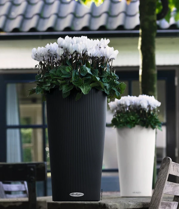 LECHUZA® CILINDRO Color, All-in-One Set – Bild 3