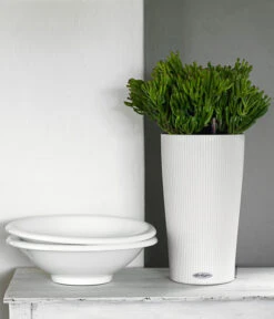 LECHUZA® CILINDRO Color, All-in-One Set -Elho Aussenbereich Geschaft 6963318 WE MO 03 CilindroColorWeiss