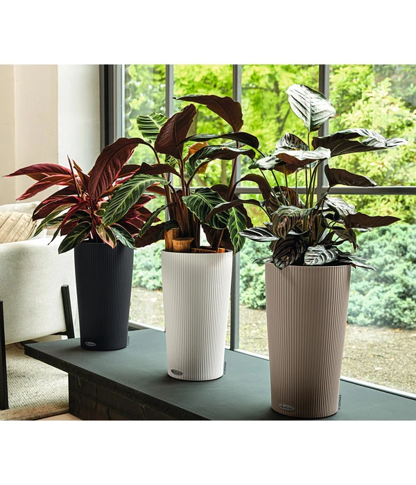 LECHUZA® CILINDRO Color, All-in-One Set – Bild 5