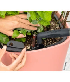 LECHUZA® Kunststoff-Topf Pila Color Planter, Rund, Ca. Ø35/H33 Cm -Elho Aussenbereich Geschaft 6963664 WE MO 001 LechuzaCOLORPLANTER