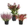 Grabpflanzen-Set Achtungsvoll, 3-teilig -Elho Aussenbereich Geschaft 7199037 WE FS 001 GrabpflanzensetAchtungsvoll