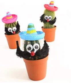 Kaktus Mit Sombrero - Cactaceae, Verschiedene Sorten -Elho Aussenbereich Geschaft 7977291 WE DE 001 KakteenMitSombreroDehnerExpressHerzig