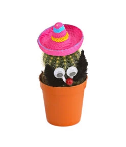 Kaktus Mit Sombrero - Cactaceae, Verschiedene Sorten -Elho Aussenbereich Geschaft 7977291 WE FS 002 KaktusPinkMitSombreroDehnerExpressHerzig
