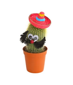 Kaktus Mit Sombrero - Cactaceae, Verschiedene Sorten -Elho Aussenbereich Geschaft 7977291 WE PR 003 KaktusRotMitSombreroDehnerExpressHerzig