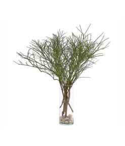 Heidelbeere-Bund, Ca. 40-50 Cm 9 Heidelbeere-Bund, Ca. 40-50 Cm -Elho Aussenbereich Geschaft 8148991 WE FS 001 HeidelbeereBundDehnerExpressHerzig 1