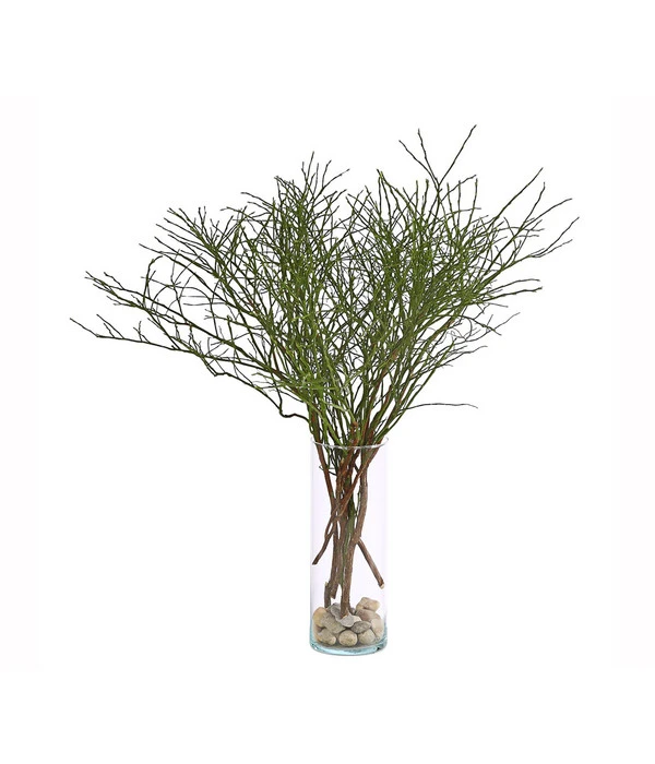 Heidelbeere-Bund, Ca. 40-50 Cm 4 Heidelbeere-Bund, Ca. 40-50 Cm – Bild 2