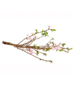 Japanische Kirschzweige, Ca. 80-100 Cm 7 Japanische Kirschzweige, Ca. 80-100 Cm -Elho Aussenbereich Geschaft 8149015 WE FS 001 JapanischeKirscheBundDehnerExpressHerzig