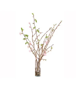 Japanische Kirschzweige, Ca. 80-100 Cm 8 Japanische Kirschzweige, Ca. 80-100 Cm -Elho Aussenbereich Geschaft 8149015 WE FS 002 JapanischeKirscheBundDehnerExpressHerzig