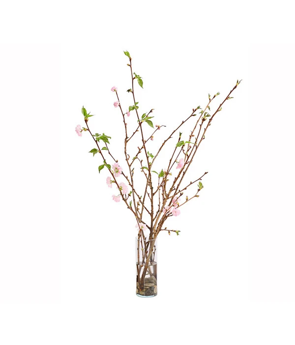 Japanische Kirschzweige, Ca. 80-100 Cm 5 Japanische Kirschzweige, Ca. 80-100 Cm – Bild 3