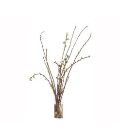 Kirschzweige-Bund, Ca. 80-100 Cm 10 Kirschzweige-Bund, Ca. 80-100 Cm -Elho Aussenbereich Geschaft 8149049 WE FS 002 KirschzweigeBundDehnerExpressHerzig