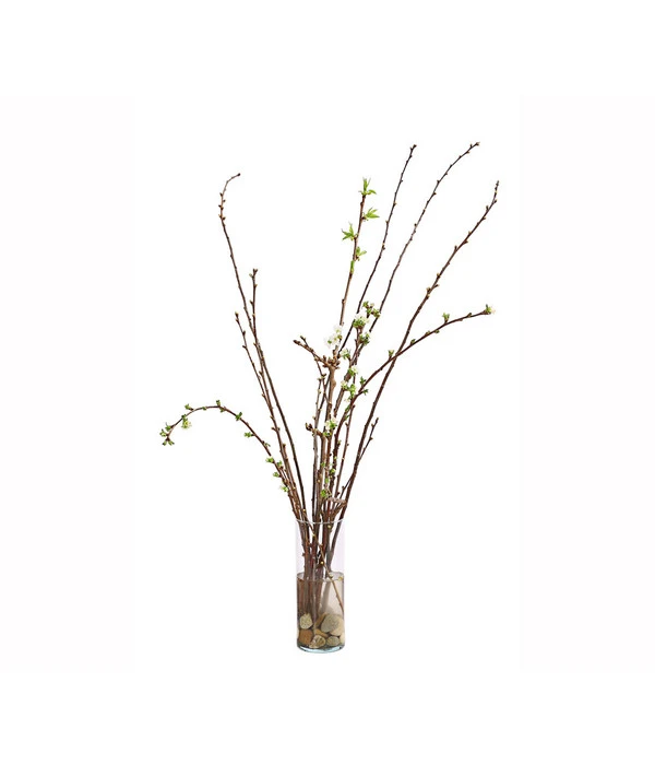 Kirschzweige-Bund, Ca. 80-100 Cm 5 Kirschzweige-Bund, Ca. 80-100 Cm – Bild 3