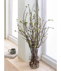 Kirschzweige-Bund, Ca. 80-100 Cm 12 Kirschzweige-Bund, Ca. 80-100 Cm -Elho Aussenbereich Geschaft 8149049 WE MO 001 KirschzweigeHandbund