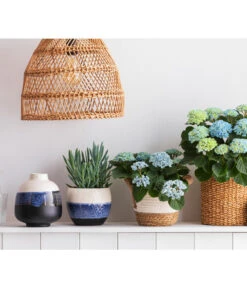 Dehner Seegras-Korb Ida, Rund 9 Dehner Seegras-Korb Ida, Rund -Elho Aussenbereich Geschaft 8203994 668948 6689855 WE MO 001 HortensieMagicalTopfMaritim