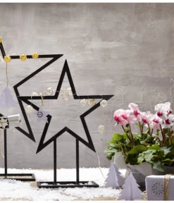 Alpenveilchen, Gefranst -Elho Aussenbereich Geschaft 8217473 WE MO 028 Weihnachtsshooting 2015