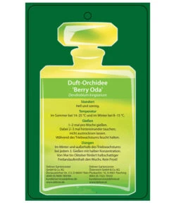 Duft-Traubenorchidee - Dendrobium Kingianum 'Berry' 9 Duft-Traubenorchidee - Dendrobium Kingianum 'Berry' -Elho Aussenbereich Geschaft 8250714 DuftorchideeBeryyOdaEtikett2