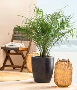 Dehner Solar-Laterne Manila, Ca. Ø25/H36 Cm -Elho Aussenbereich Geschaft 8256620 WE MO 001 PhoenixroebeleniT24