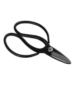 Bonsai Chinesischer Feigenbaum - Ficus Retusa, Anfänger-Set, 10 Jahre 9 Bonsai Chinesischer Feigenbaum - Ficus Retusa, Anfänger-Set, 10 Jahre -Elho Aussenbereich Geschaft 8561573 WE FS 002 SchereSetBonsai