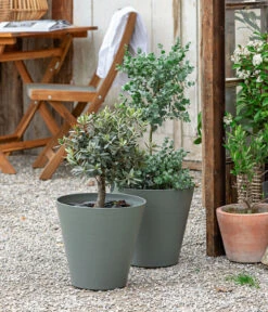 Elho Aussenbereich Geschaft -Elho Aussenbereich Geschaft 8586133 WE MO 001 Eukalyptus