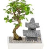 Bonsai Mit Buddha/Pagode, Verschiedene Sorten -Elho Aussenbereich Geschaft 8686669 PR FS 001 BonsaiMixMitBuddhaPagodeT18DehnerExpressHerzig