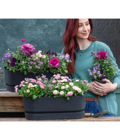 Elho Kunststoff-Topf Greenville, Ca. B20/B18/T49 Cm -Elho Aussenbereich Geschaft 8809857 WE MO 001 FruehlingRosa