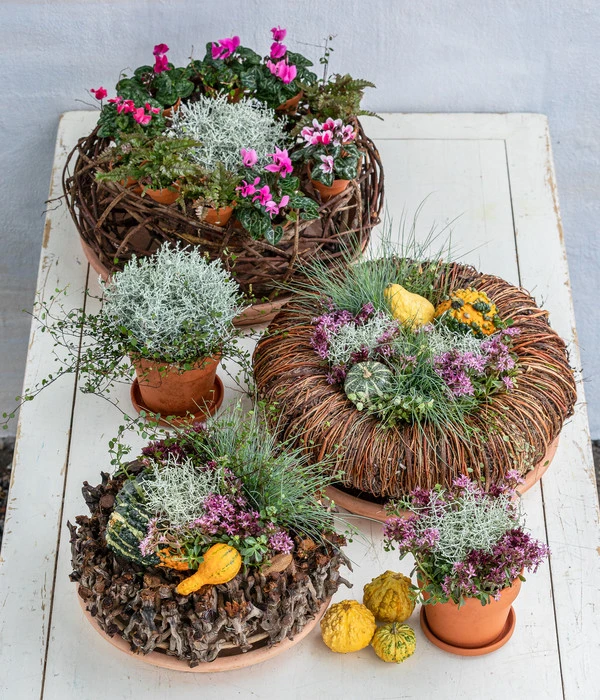 Dehner Kranz Bold, Ca. Ø38 Cm 4 Dehner Kranz Bold, Ca. Ø38 Cm – Bild 2