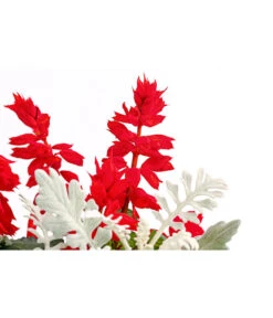 Pflanzen-Duo Feuersalbei Und Silberblatt 5 Pflanzen-Duo Feuersalbei Und Silberblatt -Elho Aussenbereich Geschaft 8827545 PR DE 001 SaviaSenecioMixT13DehnerExpressHerzig