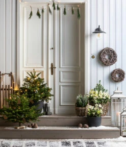 Dehner Kranz Weinrebe Frost, Ca. Ø48 Cm -Elho Aussenbereich Geschaft 8996100 8014870 8014557 8014722 8014847 WE MO 001 AbiesNordmannianaHolzkreuzWeihnachtsbaeume