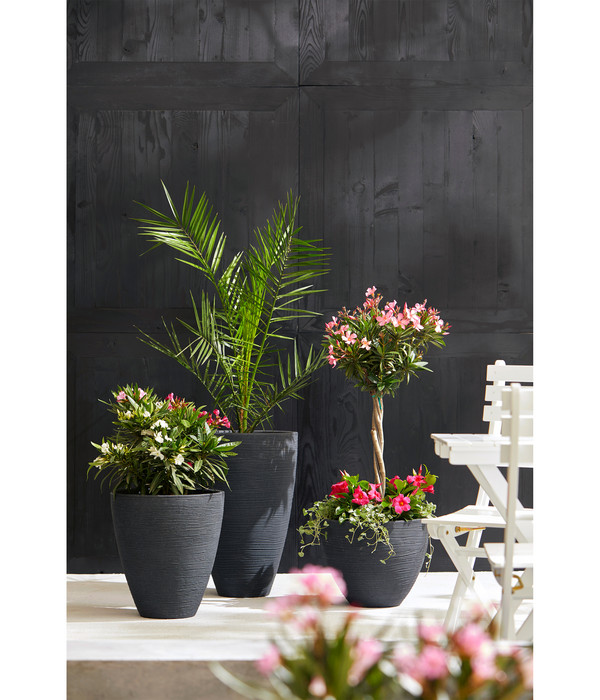 Elho Aussenbereich Geschaft -Elho Aussenbereich Geschaft 2937720 WE MO 001 KunststoffTopfinRiffeloptik