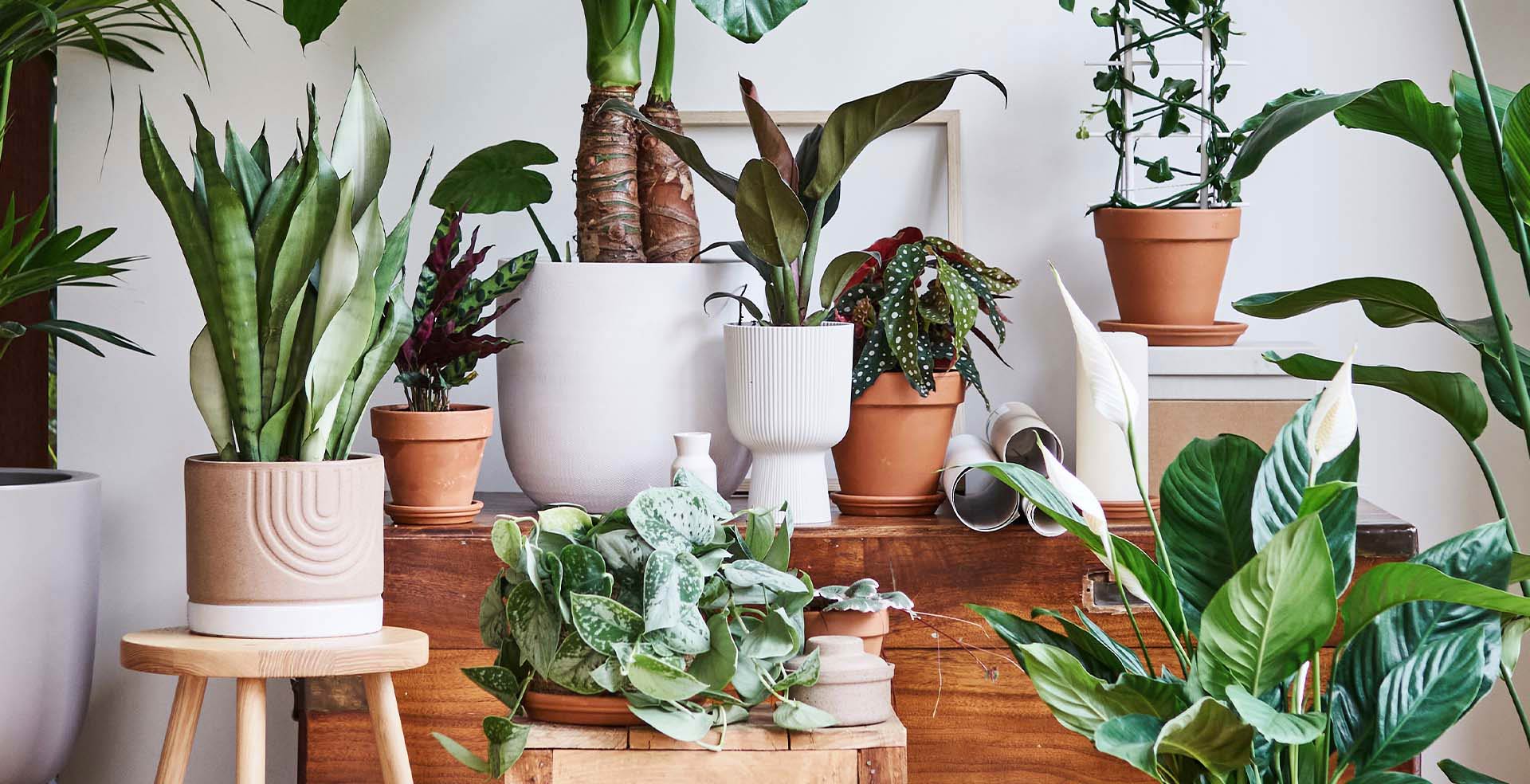 Elho Aussenbereich Geschaft -Elho Aussenbereich Geschaft 61c43c380fa7d